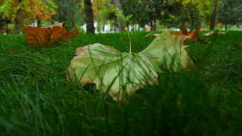 Forecasters announce weather in Turkmenistan for early september