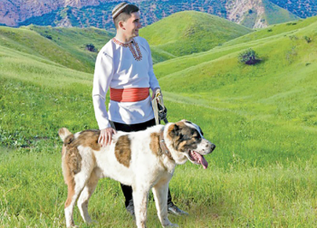 International Turkmen Alabay Competition to Be Held in Ashgabat