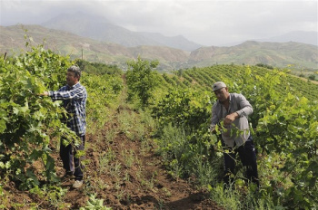 Täjigistanyň Almosi jülgesi: Merkezi Aziýadaky FAO GIAHS ulgamynyň ilkinji desgasy