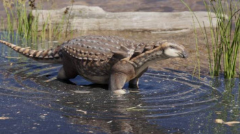 Argentine paleontologists discover remains of a new dinosaur species
