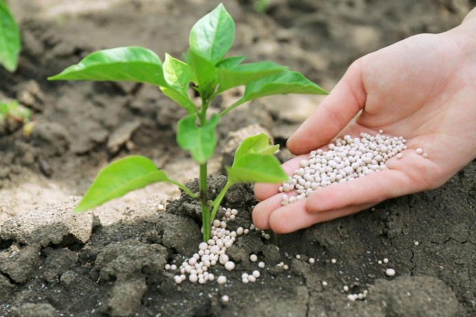  Trading on SCRMET: Turkmen company exports mineral fertilizers