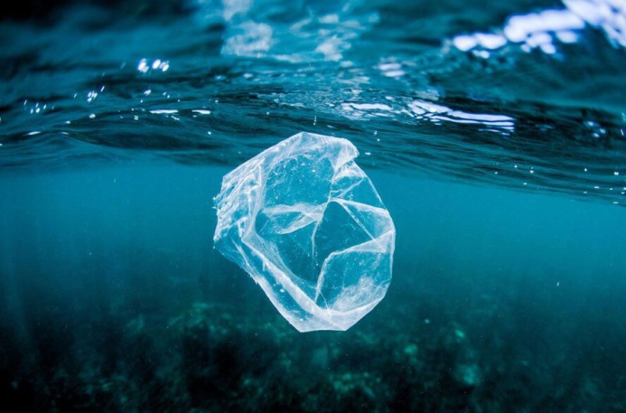  Japanese Scientists Create Plastic That Dissolves in Seawater