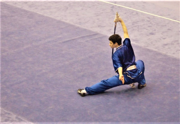 Turkmen wushu wrestlers won three bronze medals at the Asian Youth Championship