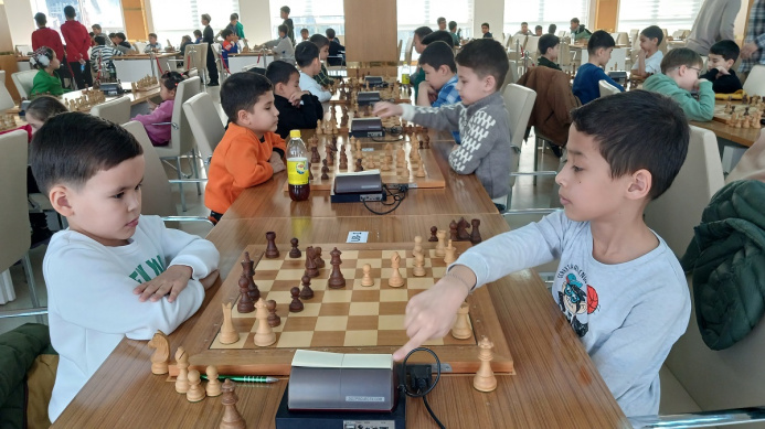  Chess prodigies enter the fight for the championship