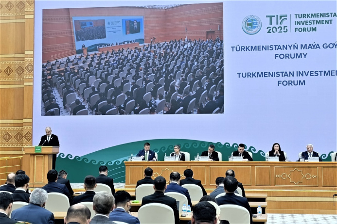  MFA: Political stability is the foundation of Turkmenistan's investment attractiveness