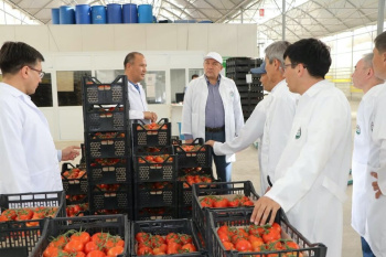 Актау заинтересован в сезонных поставках фруктов и овощей из Туркменистана