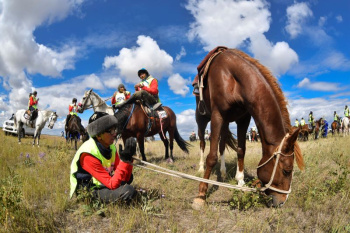 Kazakhstan and Turkmenistan will establish partnerships in the field of equestrian sports