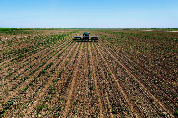  Turkmenistan to study possibility of holding EXPO exhibition on agriculture