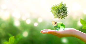 The EU Delegation to Turkmenistan will hold “Green Games” on the shores of Lake Geokdepe