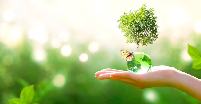  The EU Delegation to Turkmenistan will hold “Green Games” on the shores of Lake Geokdepe