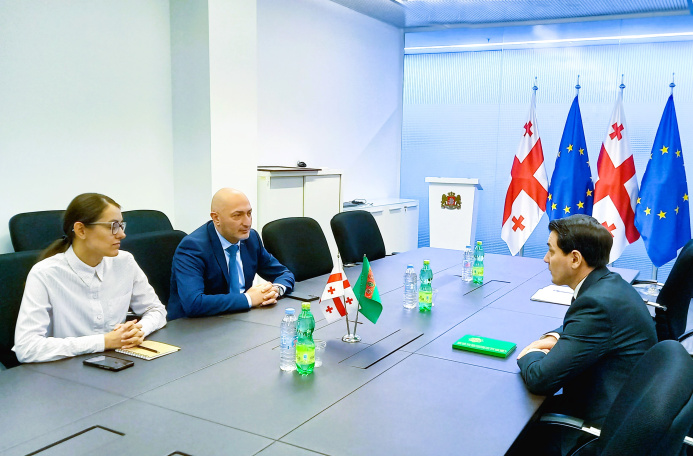  Tbilisi is set for active cooperation with Turkmenistan on transport and energy