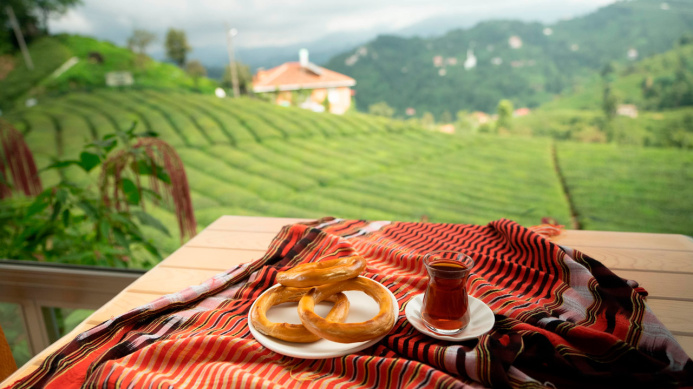  Immerse yourself in the unforgettable experience of harvesting tea, Türkiye's most beloved beverage