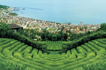 Rize: the capital of Turkish tea