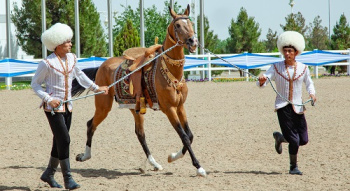 Arkadag şäherinde ahalteke atlarynyň halkara gözellik bäsleşigini geçirmek bellenildi