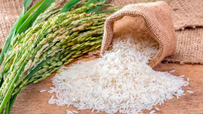  Rice Sowing Completed in Dashoguz Velayat: 35,000 Tons of Harvest Expected