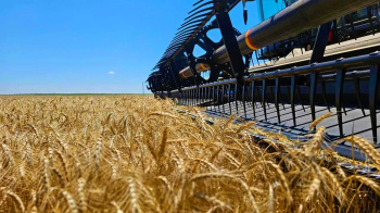 Harvest 2025: Turkmen Grain Growers have Surpassed the Million-Ton Mark of Grain