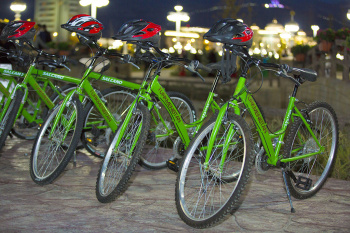 COP27: eco–friendly transport is a matter of particular importance