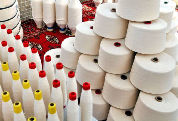 Volgograd enterprises discuss purchases of Turkmen textiles