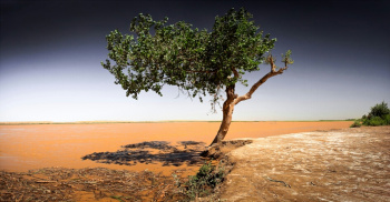 The UN General Assembly adopted a resolution on combating environmental problems in Central Asia
