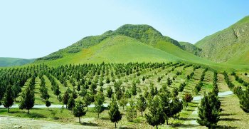 "Green Necklace" of Turkmenistan has received an international certificate