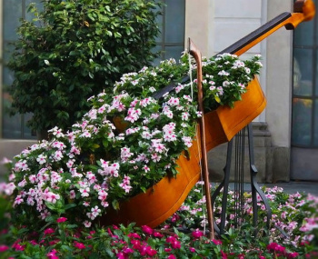 Flower Friday Chronicles with a musical happy ending: Live Classics concert and live stories