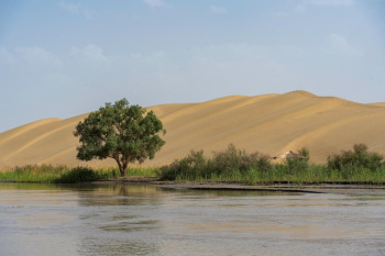 Turning deserts into fields of hope