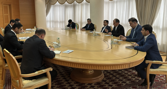  Turkmenistan and Iran spoke in favor of joining efforts in combating desertification
