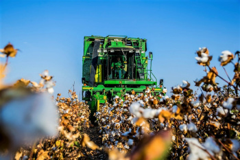 Turkmen cotton growers to start harvesting campaign on September 10