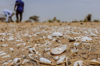 Turkmenistan discusses best practices in the field of adaptation to climate change