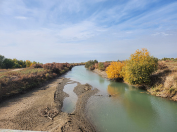 Trees were planted along the Shavat Canal in Dashoguz to prevent soil salinization
