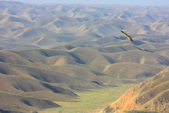 Turkmenistan participates in the Regional Dialogue on Cross-border Nature Protection
