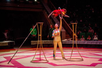 On September 15, the State Circus of Turkmenistan will host a circus show