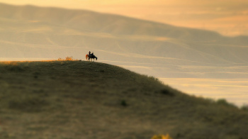 The UN General Assembly resolution “Central Asia in the face of environmental challenges” was discussed in Geneva