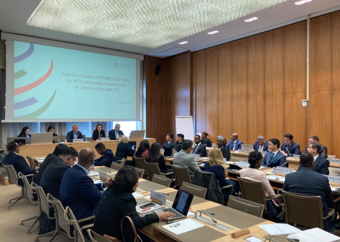  Trade in Services in the WTO Context: Overview of the Geneva Training Course for Acceding Countries