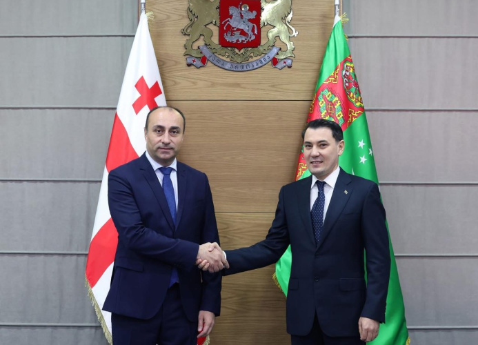 Meeting of Ambassador of Turkmenistan with Minister of Internal Affairs of Georgia