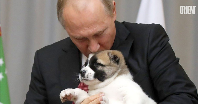  Berdimuhamedov congratulates Putin on 67th birthday in phone call