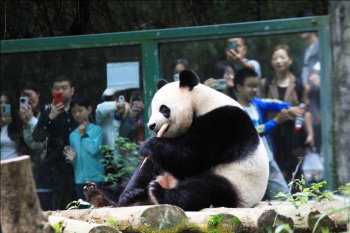 Hongshan Zoo in Nanjing: Science, Conservation, and Culture in One Place