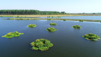 UN Conference on Biodiversity: a view from China