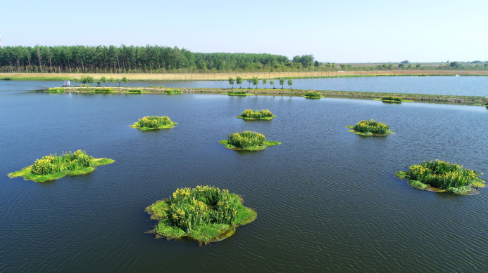  UN Conference on Biodiversity: a view from China