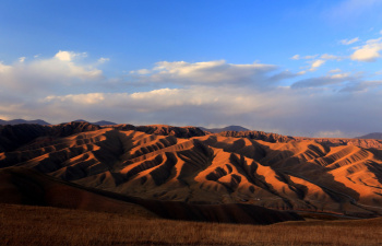 The Russian Geographical Society is planning expeditions to Turkmenistan and Kazakhstan
